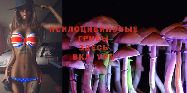 твердый Балахна