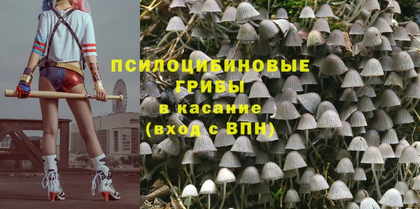 твердый Балахна